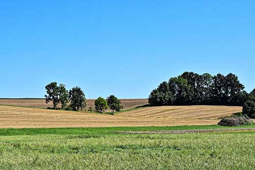 感謝朋友送禮的文案