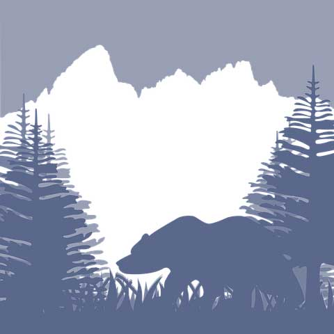 引流文案怎么寫