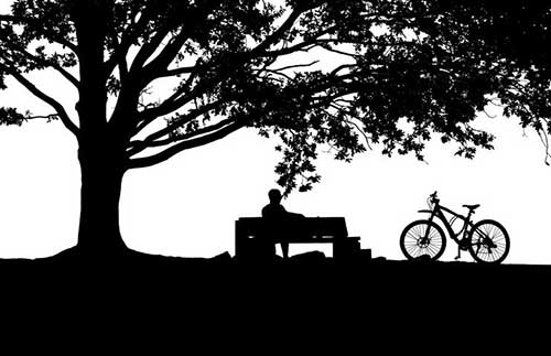 愛情是相互的文案