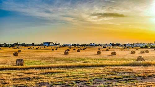 寶寶第一次上幼兒園的文案