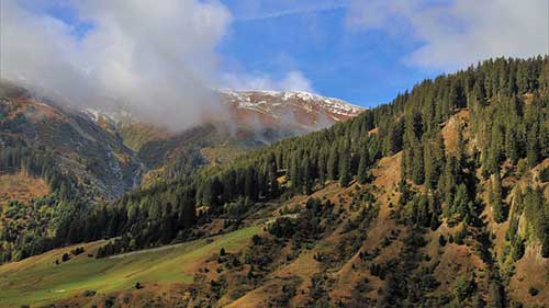 評論好吃的美食文案
