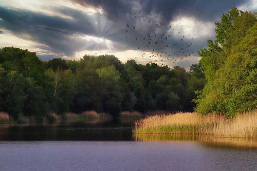 朋友圈護膚品文案