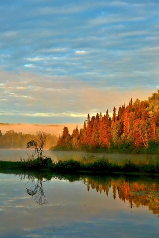 和父母離別的文案