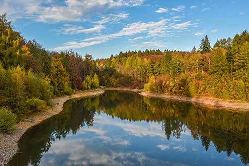 舞蹈設(shè)計(jì)活動(dòng)策劃簡(jiǎn)歷