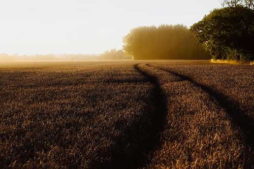 祝福別人幸福的文案