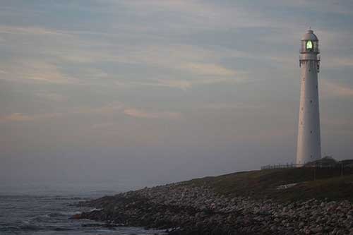 情感類的軟文案例