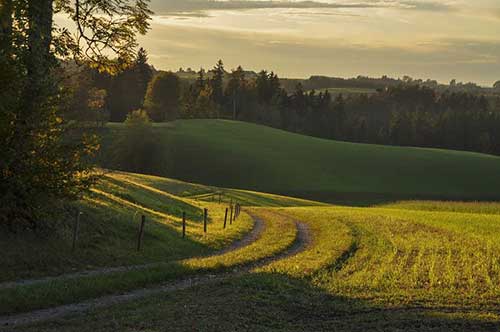 父親和女兒的文案