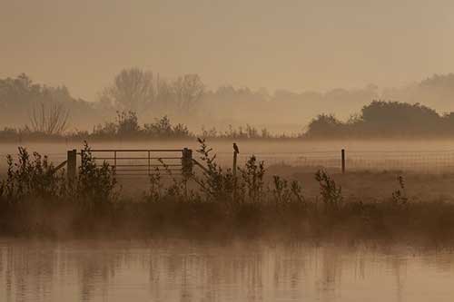 關于卑微的傷感文案
