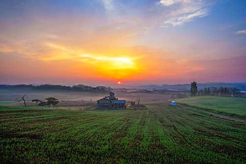 懷念的文案句子