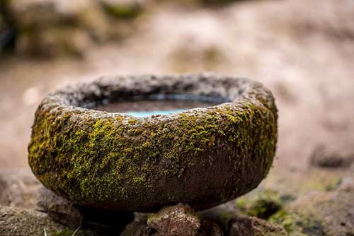 左航說過的勵志文案