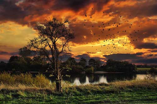 描寫春天的唯美文案