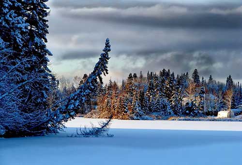 半夜自拍的文案