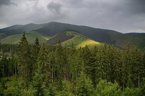 婚介公司宣傳文案