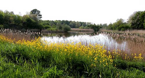 文化旅游項目策劃案例