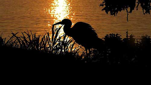 早上工作的文案