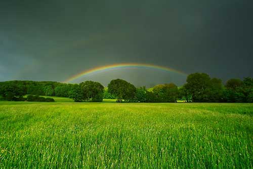 問所有人一個問題的文案