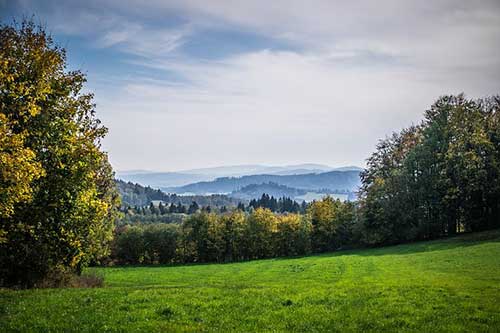 祝朋友新婚的朋友圈文案