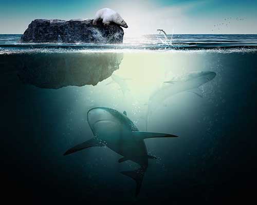 小朋友愛(ài)運(yùn)動(dòng)的文案