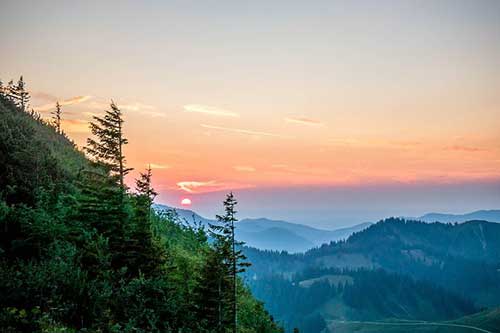 關于春天的文案200字