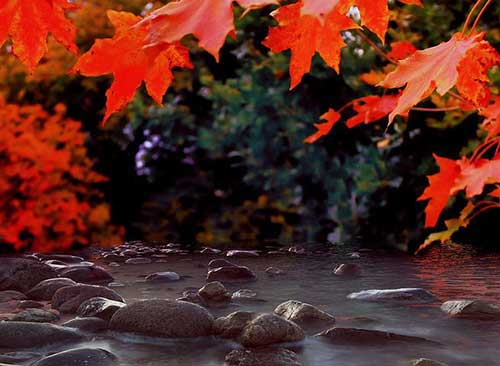 借力式軟文標(biāo)題