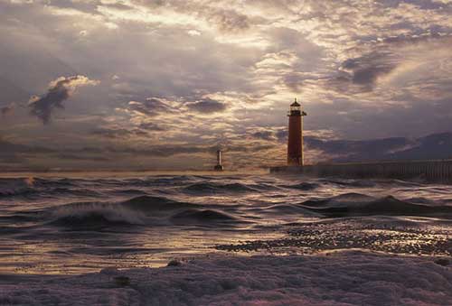 有機產(chǎn)品推廣文案