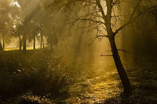 爸爸生日文案朋友圈