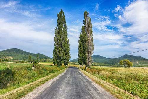 戀愛幸福的文案