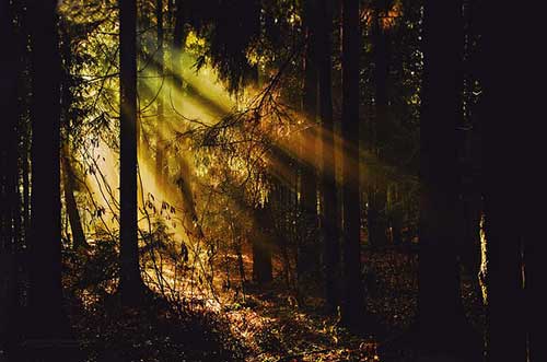 美容院招工文案