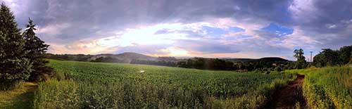 關(guān)于工作忙碌的文案