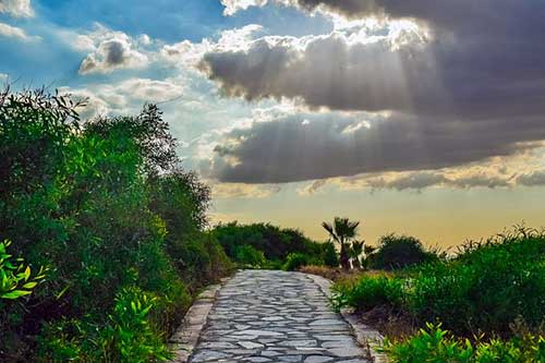 幼兒園找春天文案
