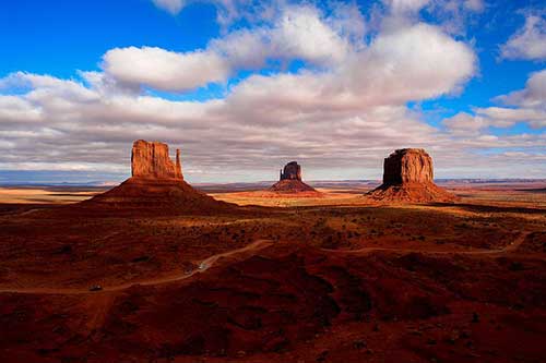生日祝福文案100字