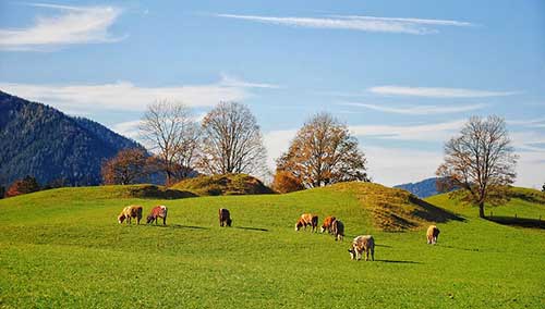 適合男生晚上發(fā)的朋友圈文案