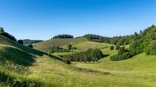 調(diào)皮的生日文案