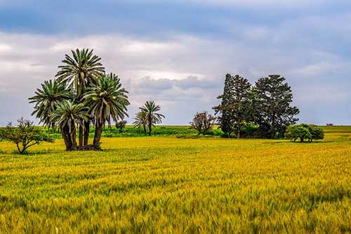 寶寶十個月朋友圈文案