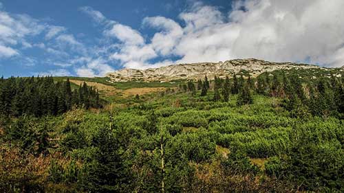 文案一般怎么寫