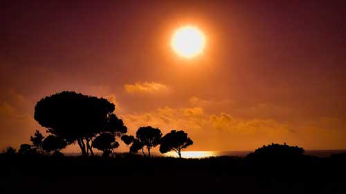 老夫老妻文案簡短