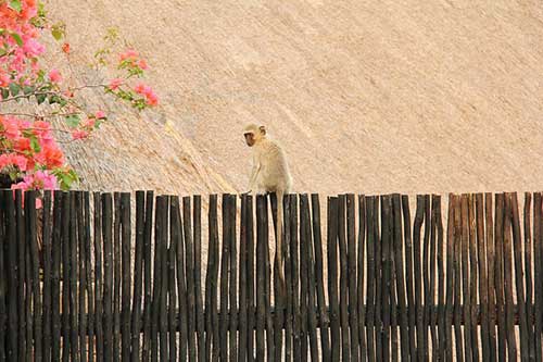 表示不會再愛了的文案