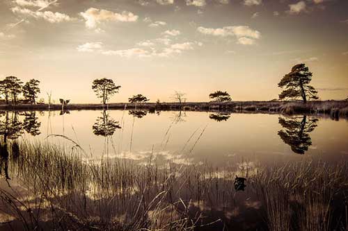 愛情文案浪漫暖心