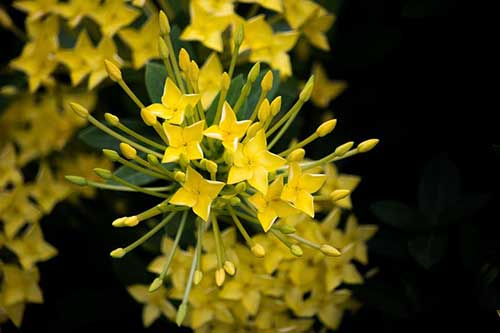 適合兒子生日文案