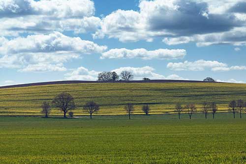 關(guān)于食堂美食的文案