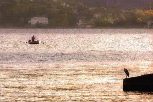 去故宮旅游的文案