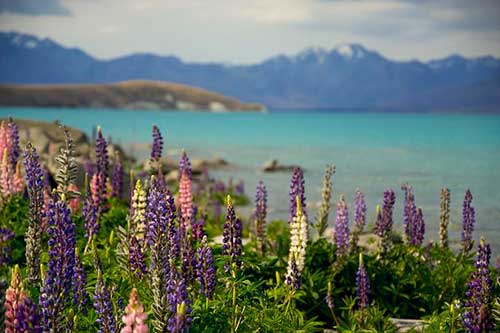 打折的文案怎么寫