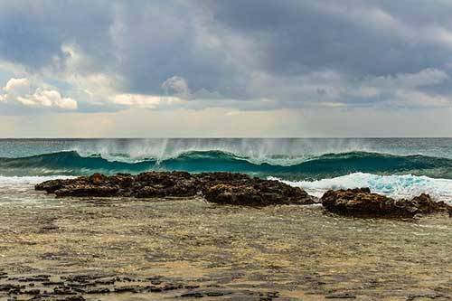 環(huán)保文案100字