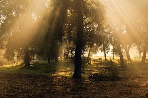 搞笑沙雕的文案