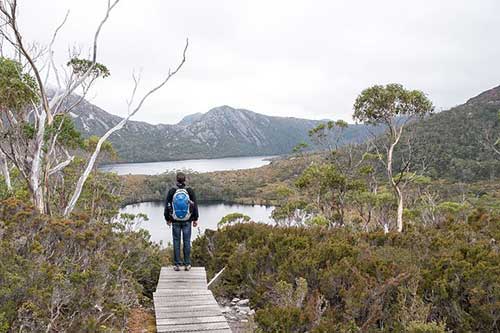 兒子送花的文案