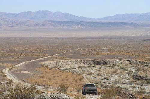 公司水果福利文案