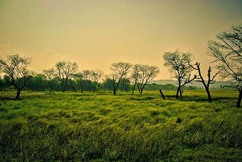 名人名言優美文案