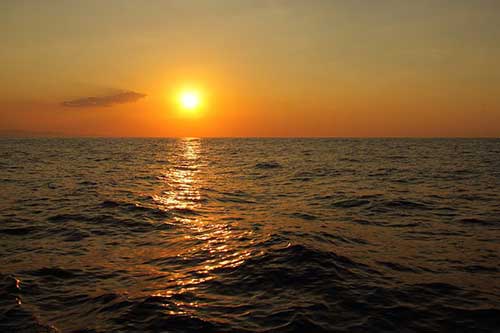 夏天寫一篇作文