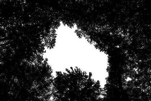 父親陪伴孩子暖心簡短文案