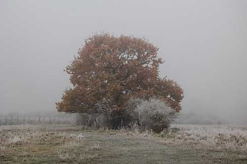 美甲美睫上門服務文案